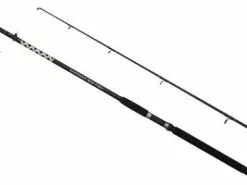 Meerval Hengel Carpzoom Entrant Bigfish 3.00m