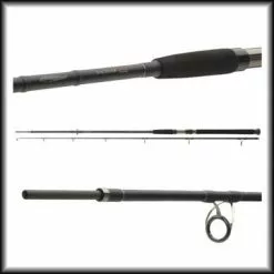 Meervalhengel Daiwa Exceler Catfish Spin 2.40M 185G