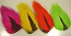 Bucktail