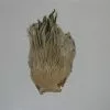 Hackle Skin (haan Nek)
