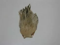 Hackle Skin (haan Nek)