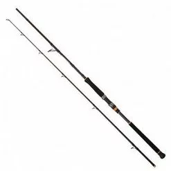 Meervalhengel Cinnetic Rextail Catfish Spin 220m