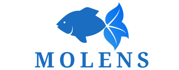 Aanbiedingen Molens & Reels Winkel